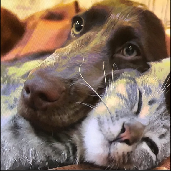 Open for business 24/7 🤩 - Picture 6 of 16